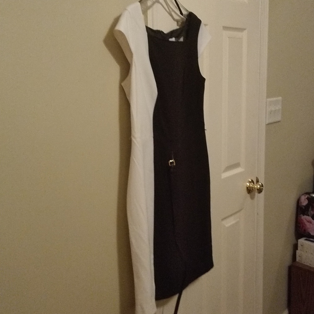 Calvin Klein/ Professional Dress